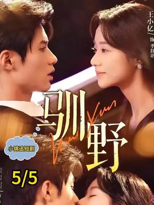 白露为霜 古装权谋热播剧